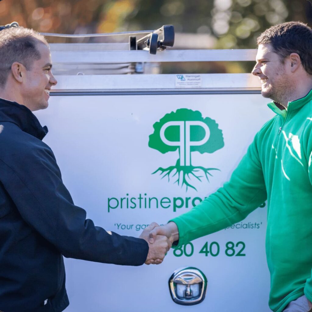A business coach shakes hands with a client